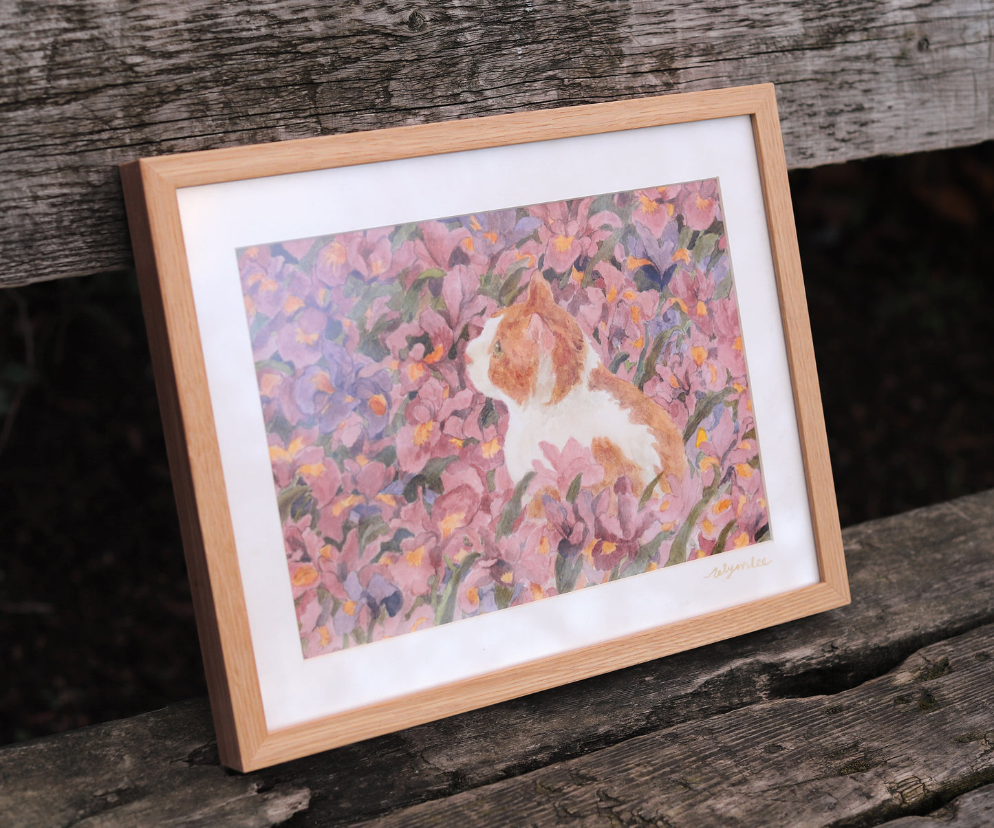 Ginger cat in violet iris garden