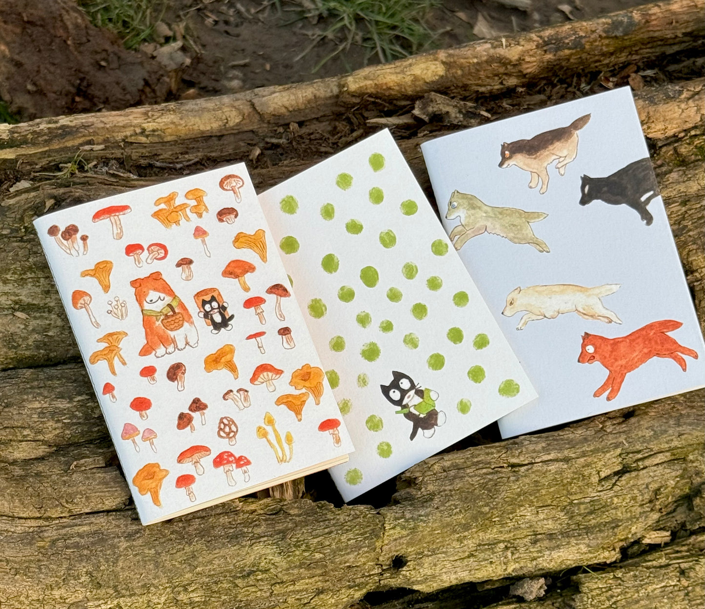 Set of 3 Notebooks (A6)