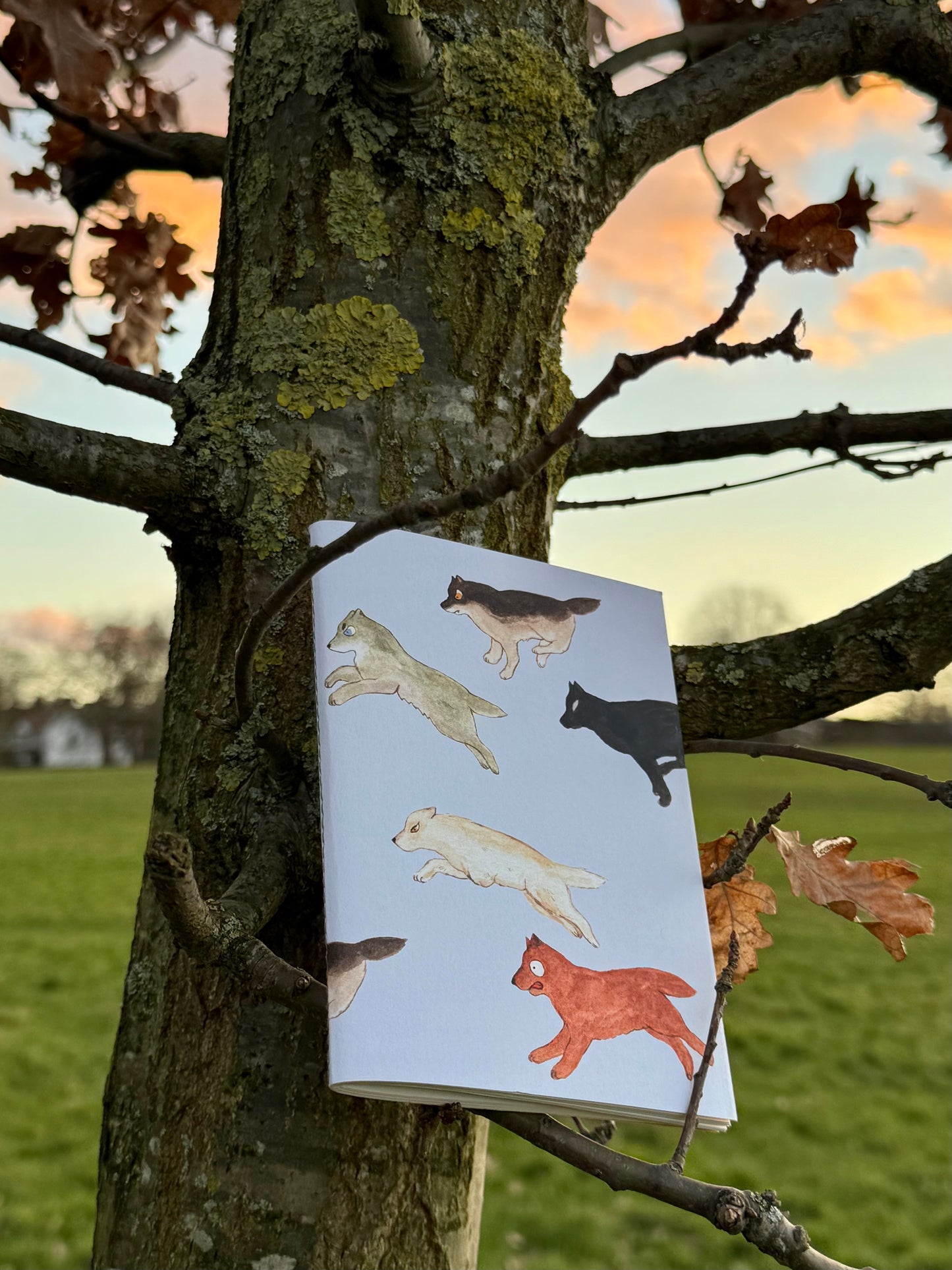 Set of 3 Notebooks (A6)