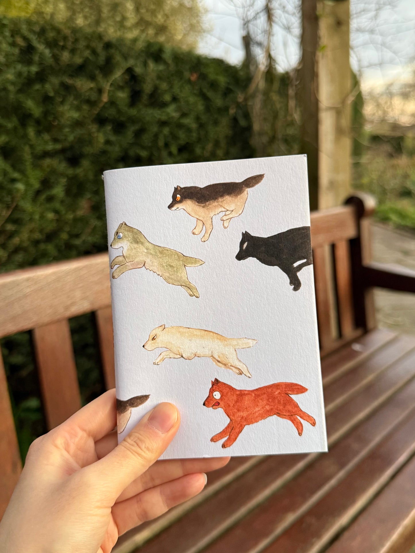 Set of 3 Notebooks (A6)