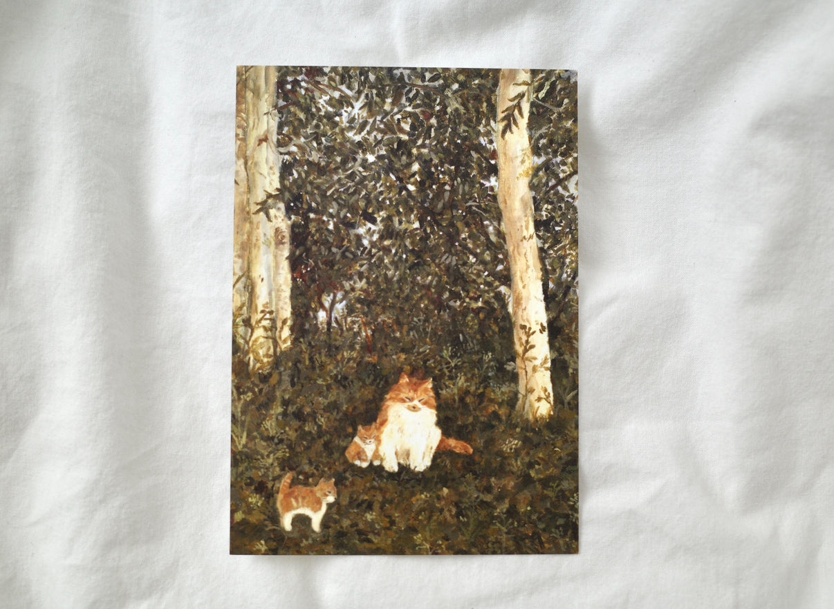 A family of cats in the Norwegian woods