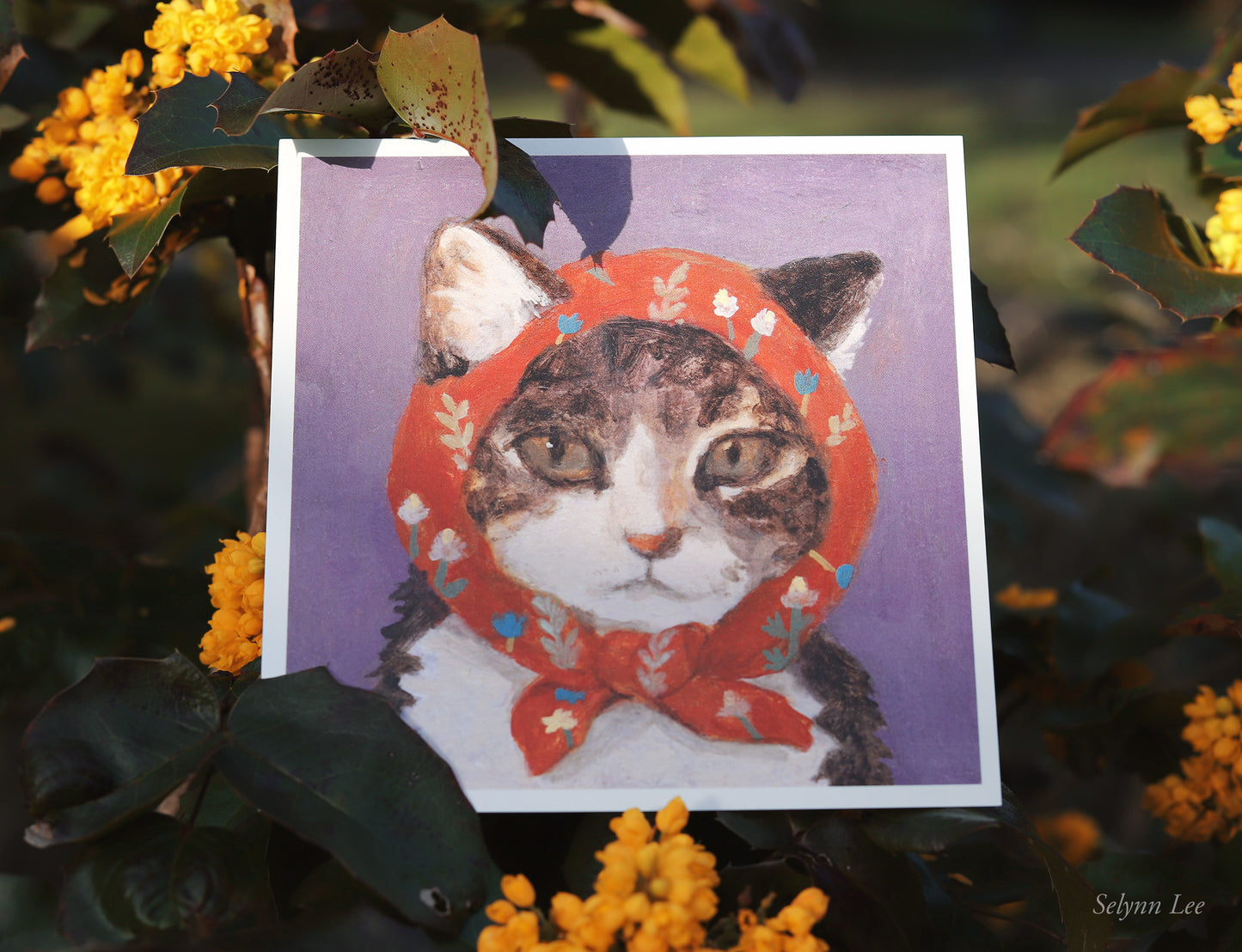 (1) Babushcats postcard set of 24