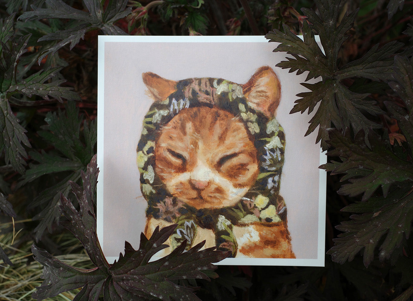 Postcard set of 24