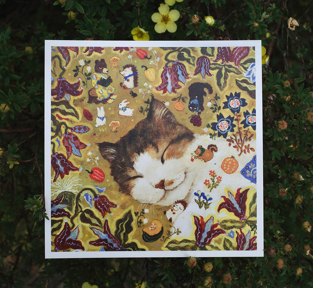 Postcard set of 24