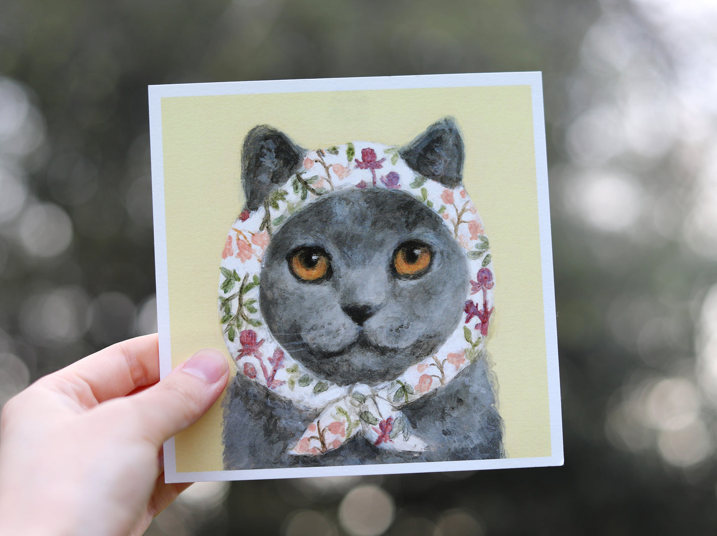 Postcard set of 24