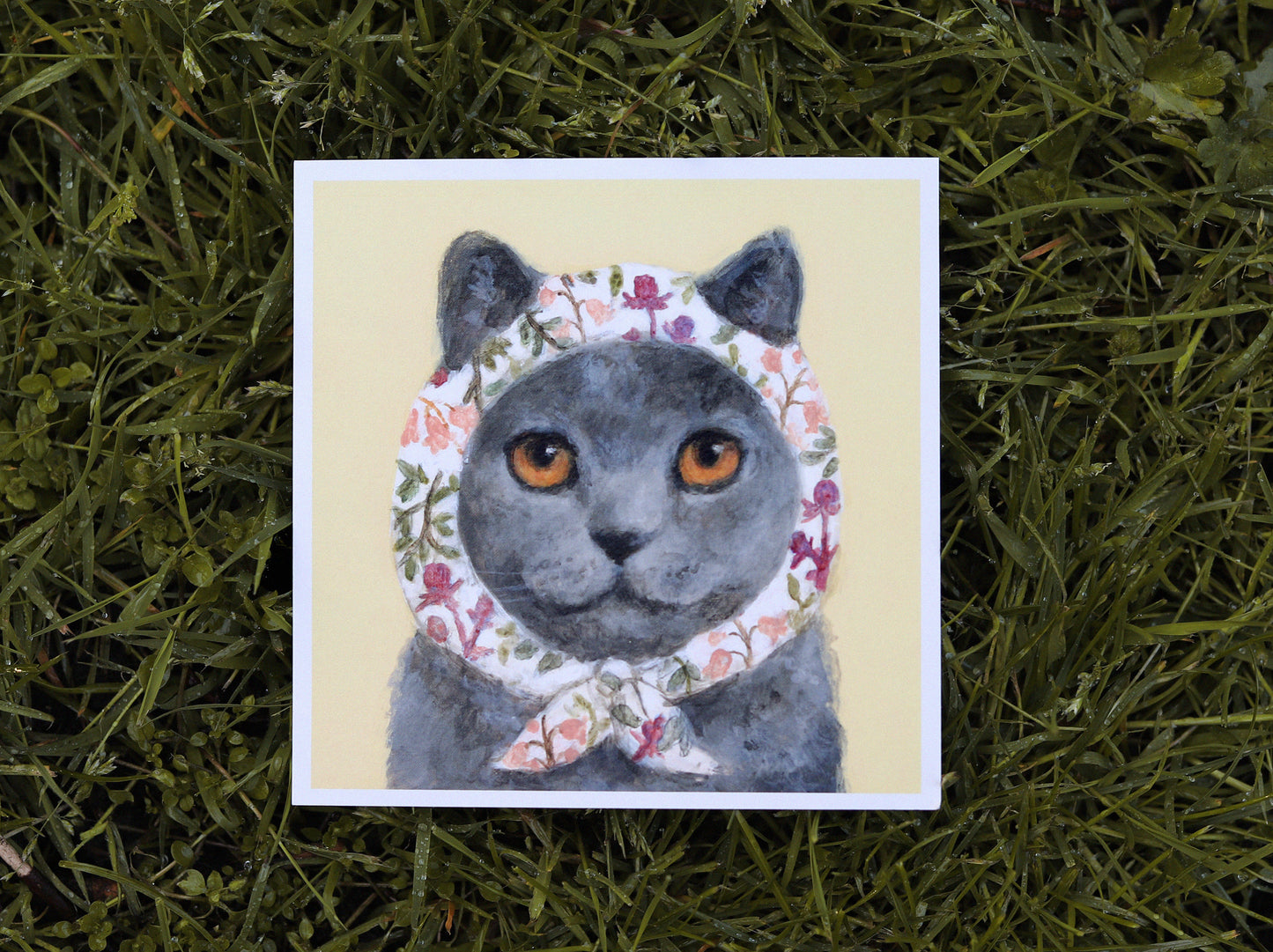 (3) Babushcats postcard set of 24