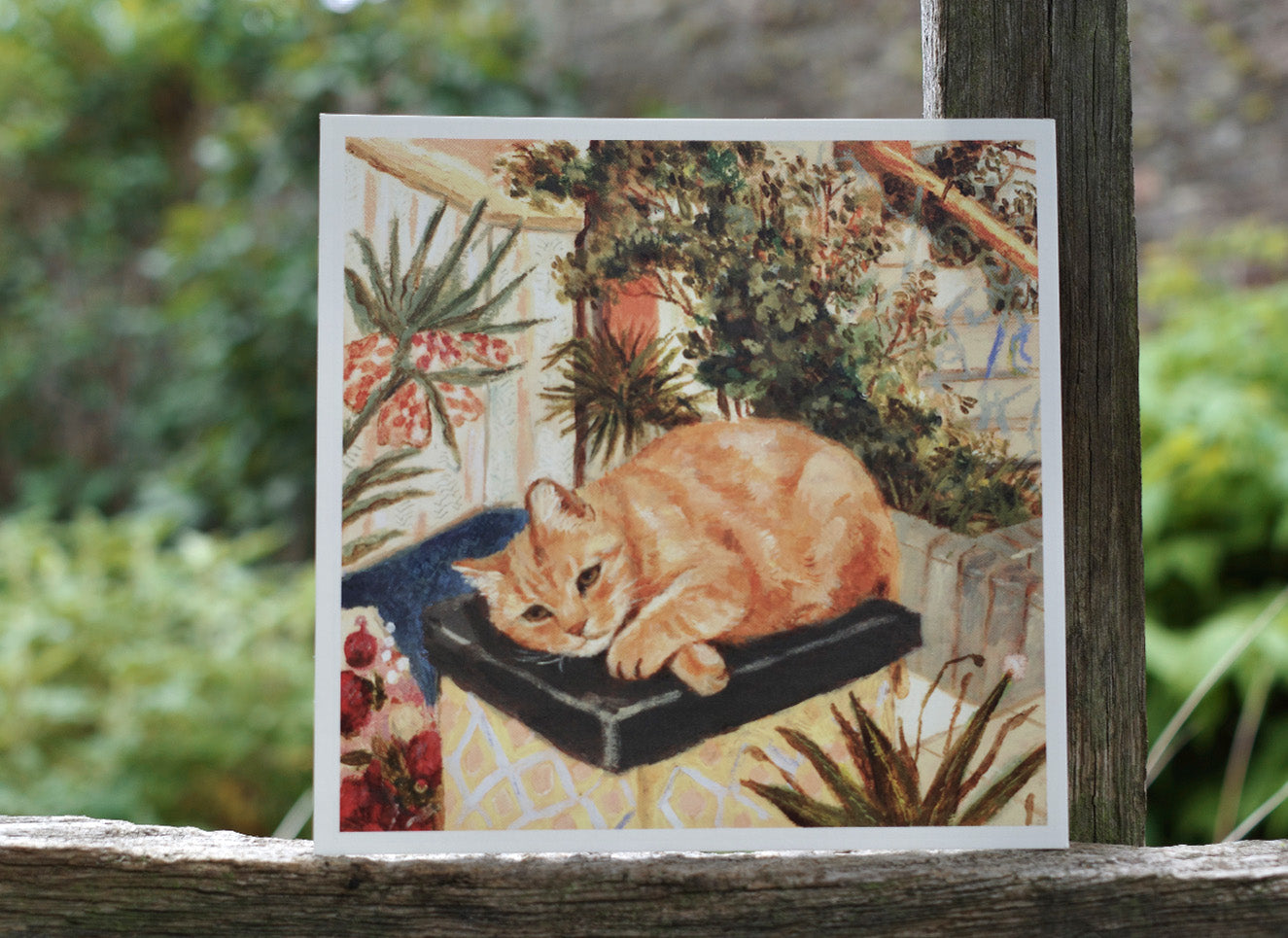 Postcard set of 24