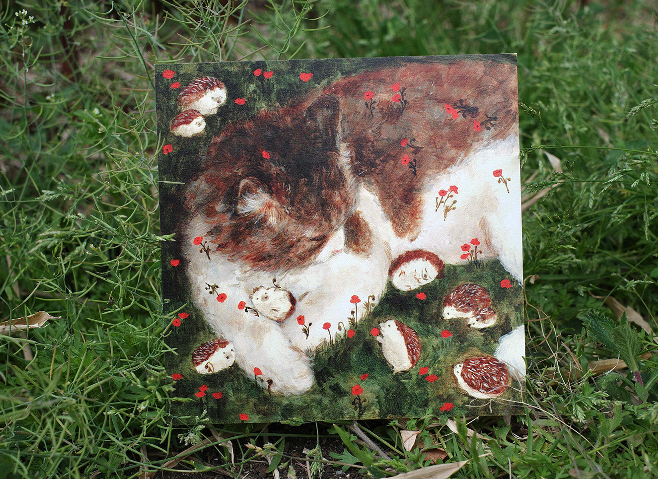 Postcard set of 24