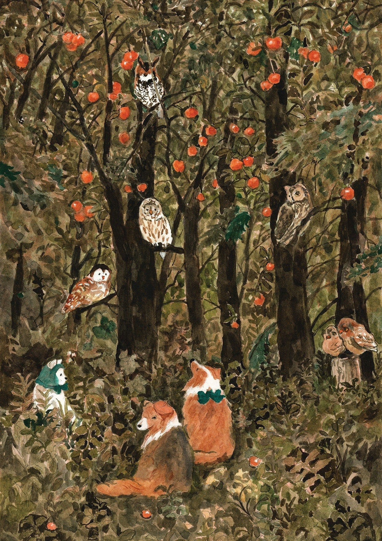 Forest of Owls