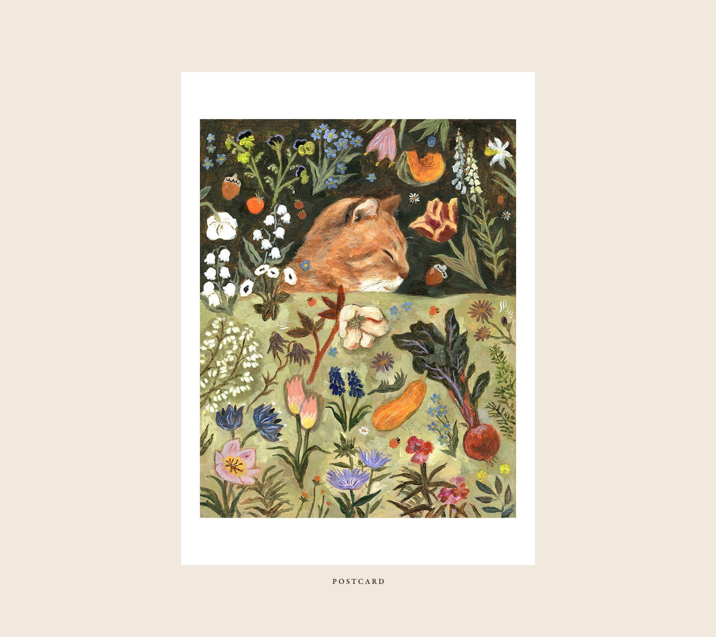 Orange cat and spring garden