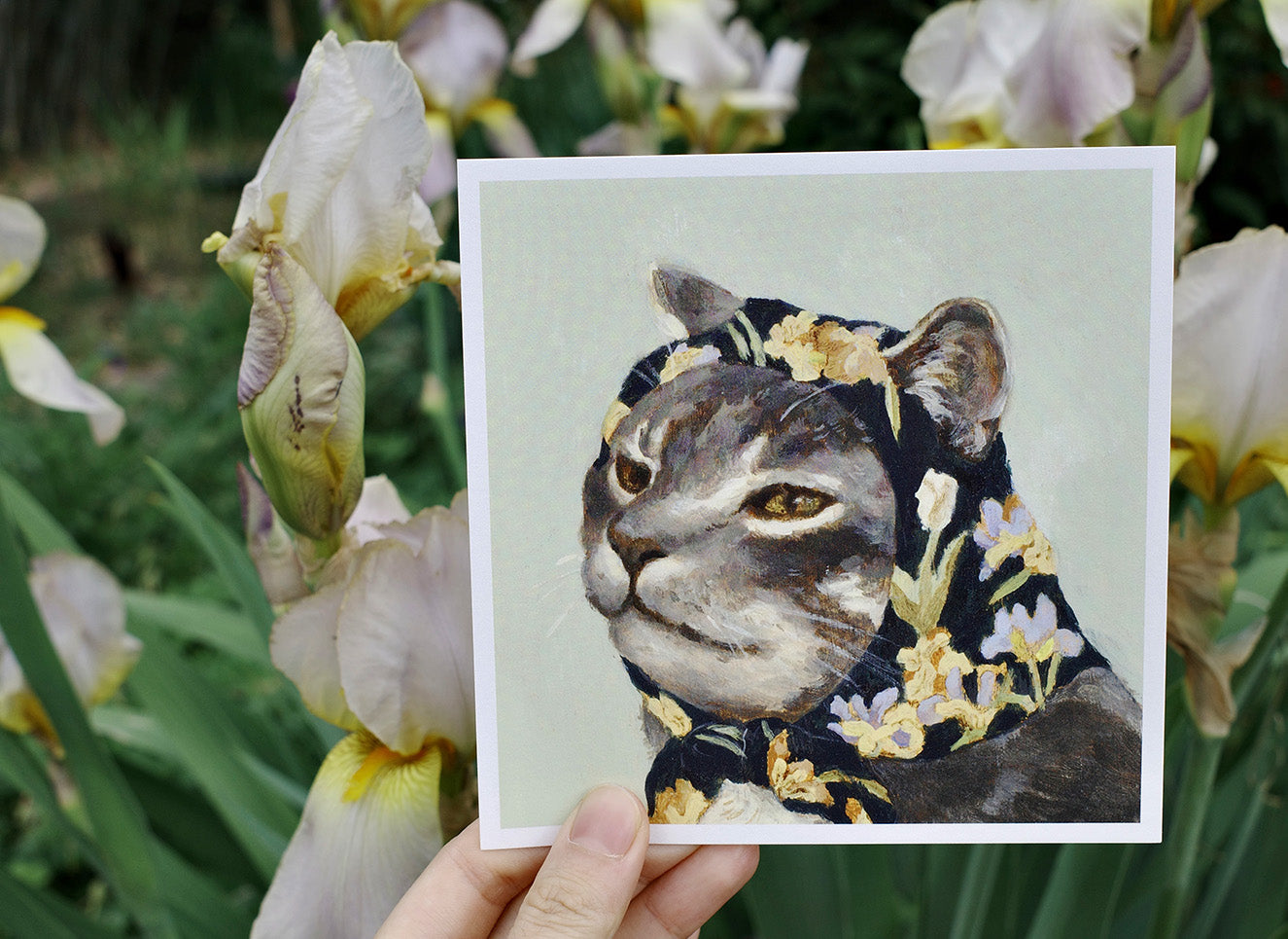 (3) Babushcats postcard set of 24