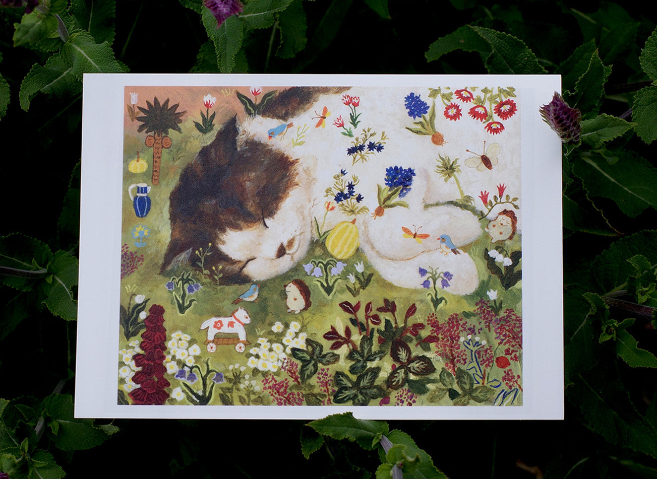 Sleeping Kuni and friends