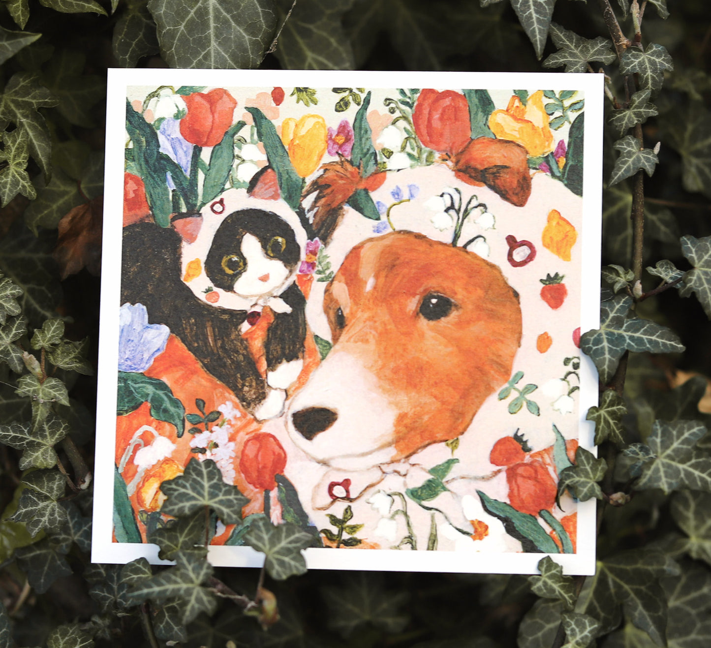 Postcard set of 24