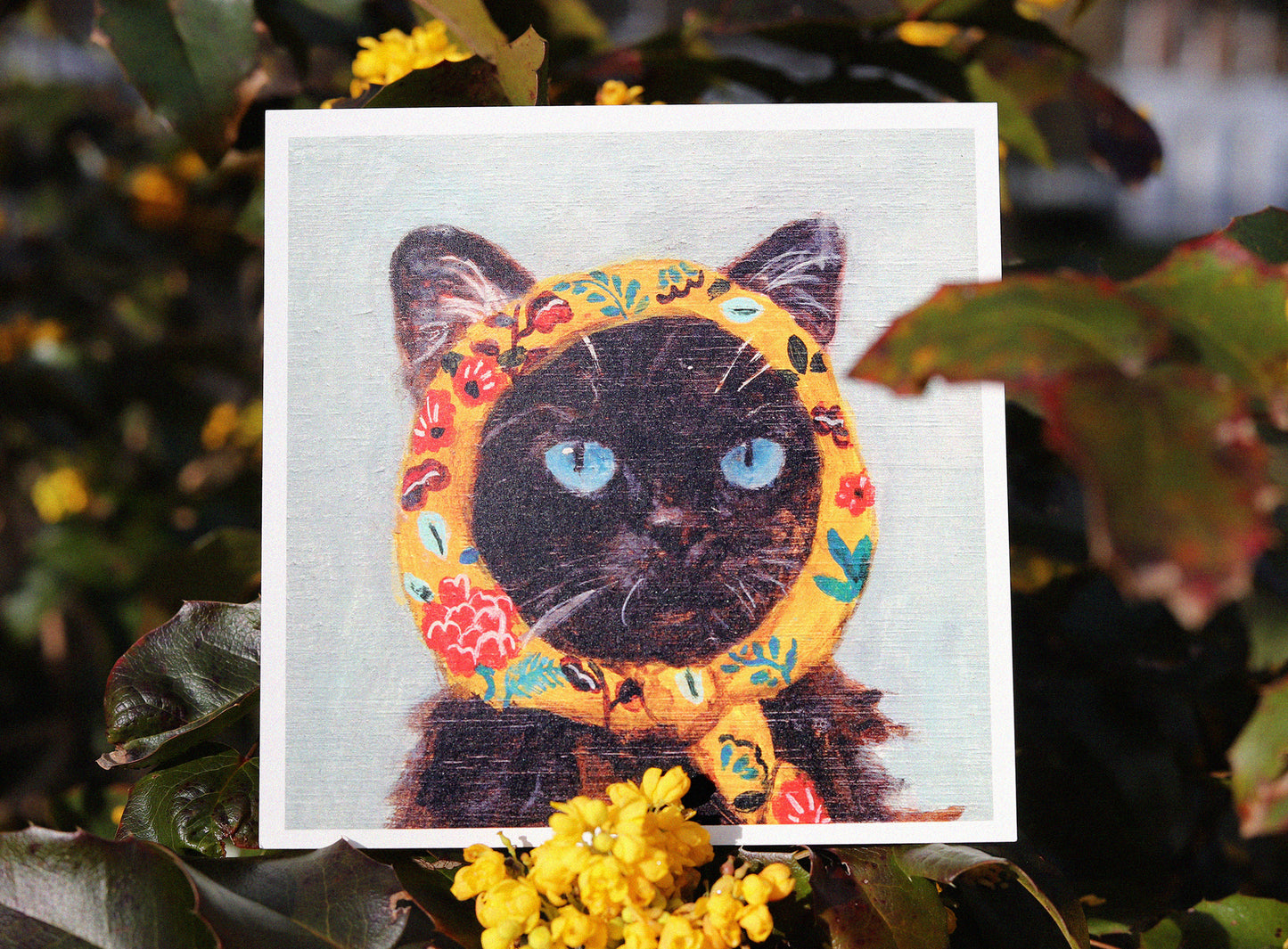 Postcard set of 24