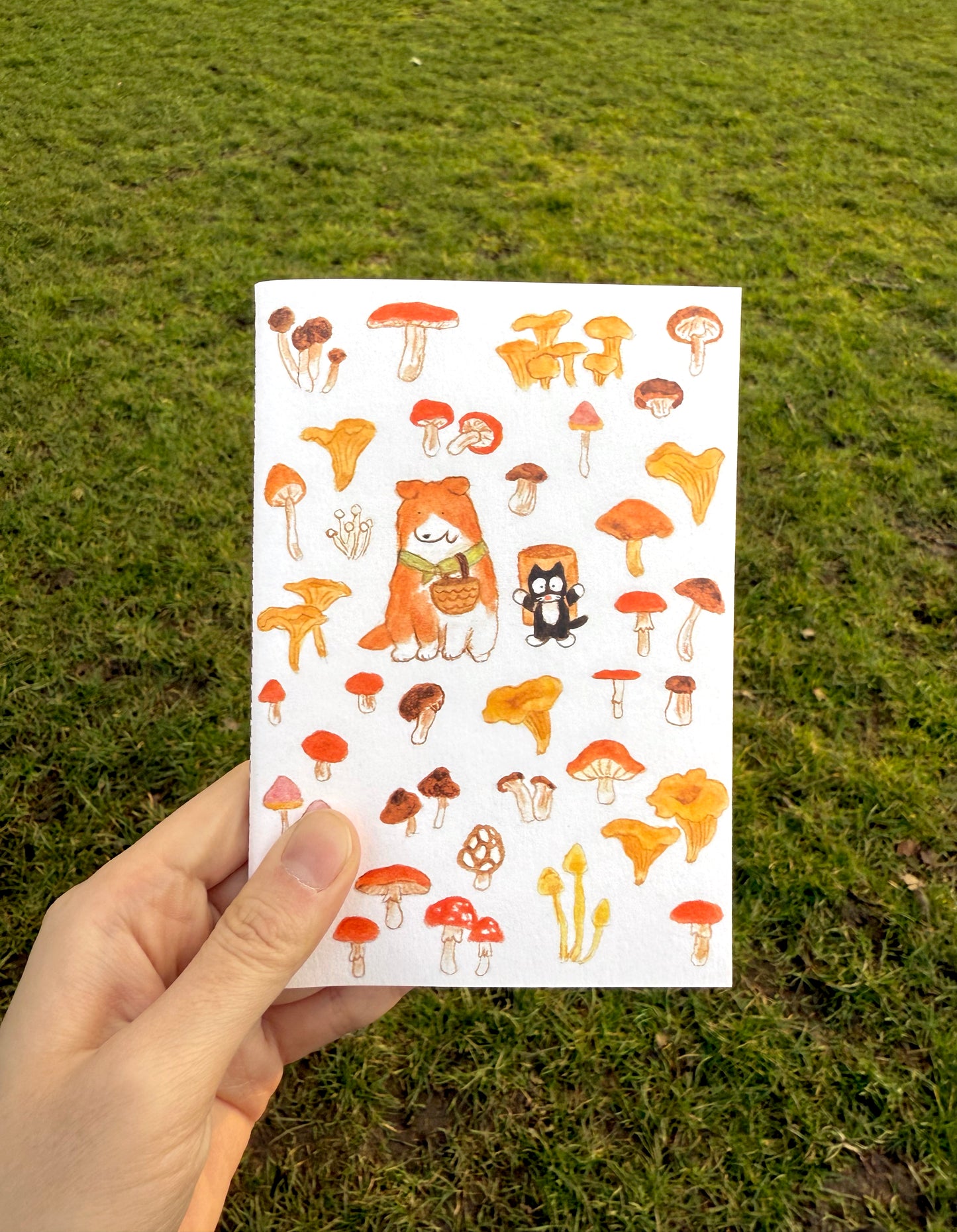 Set of 3 Notebooks (A6)