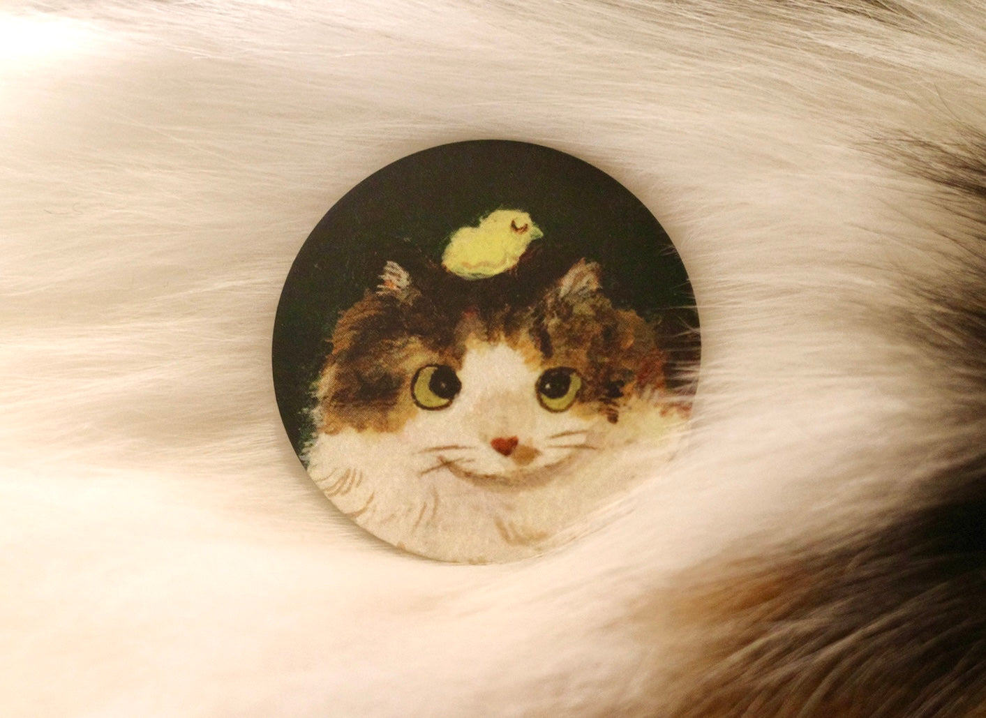 A Kitten and a Chick - Pin badge