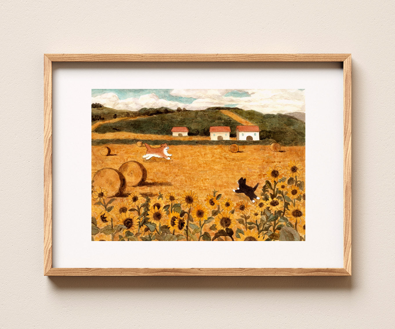 Sunflower field in Hokkaido