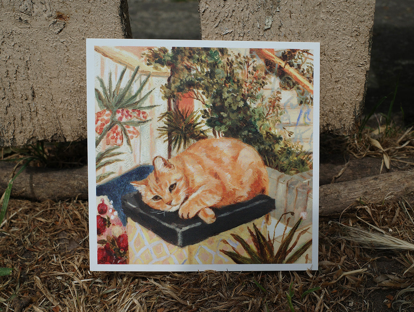 Ein Kater (A cat)