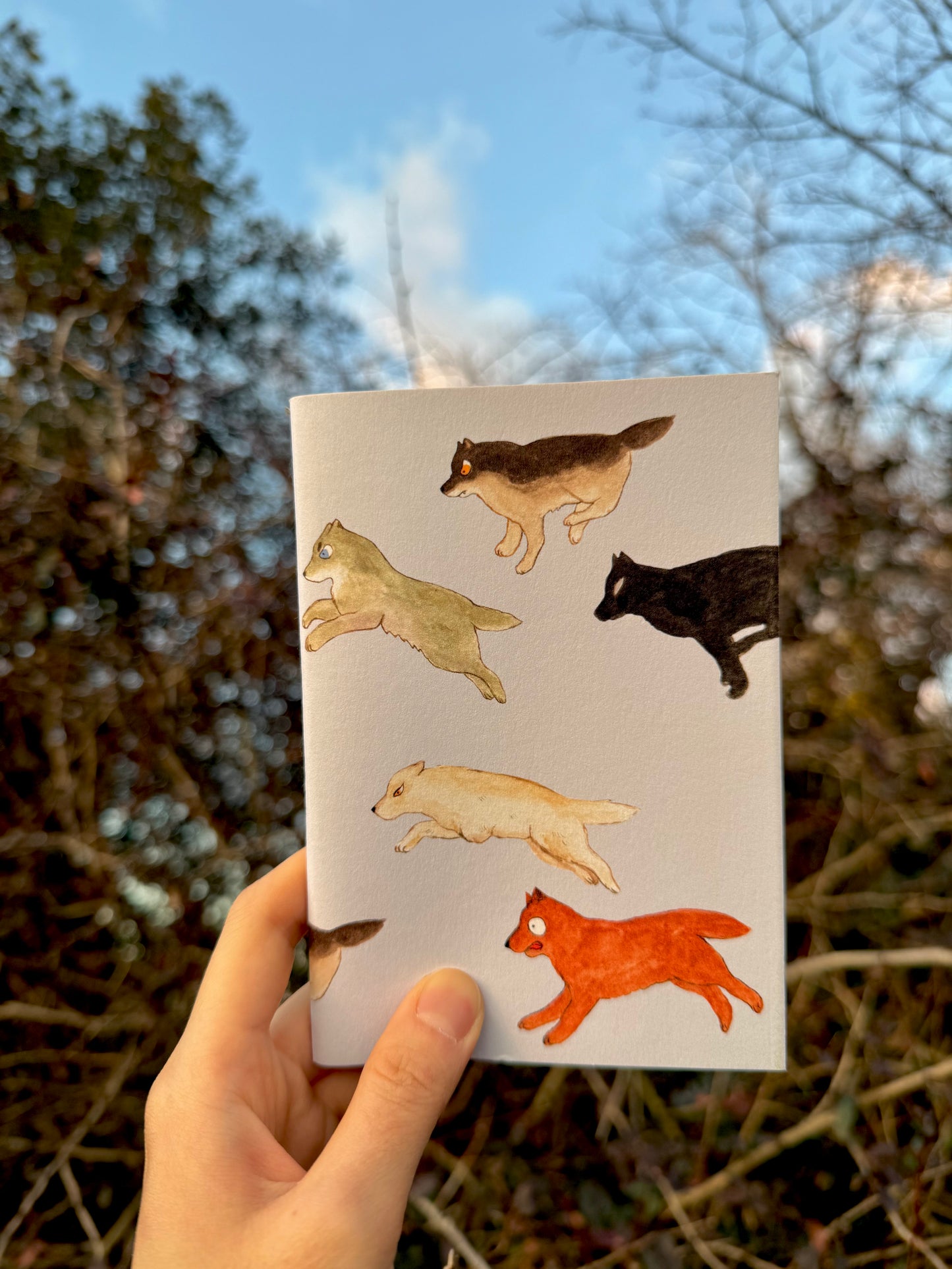 Set of 3 Notebooks (A6)