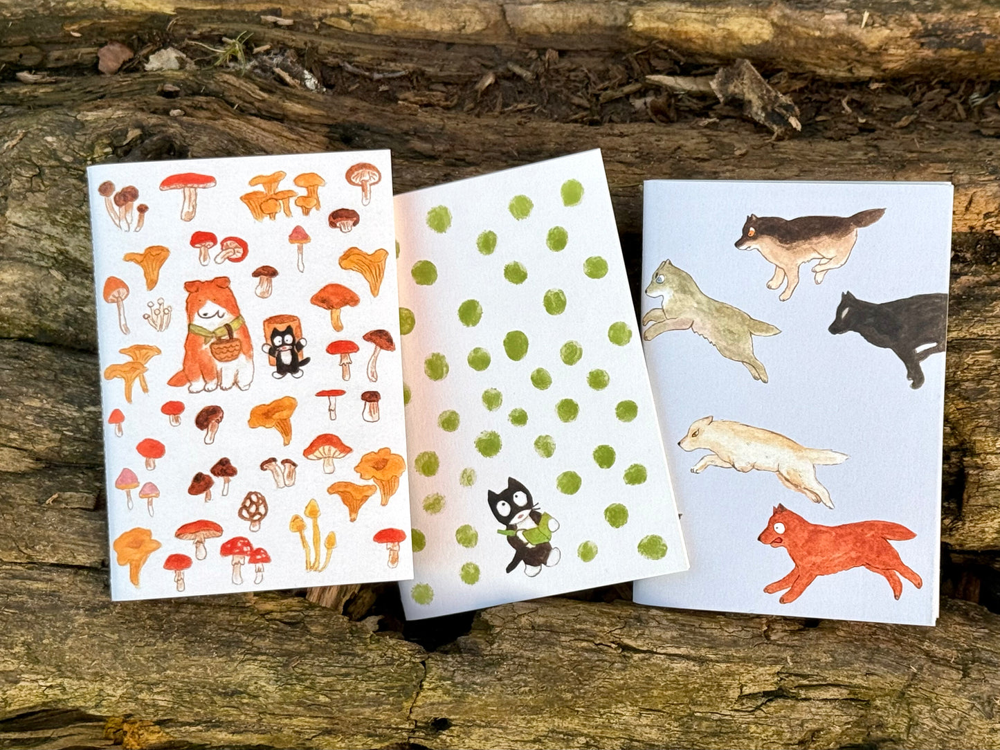 Set of 3 Notebooks (A6)