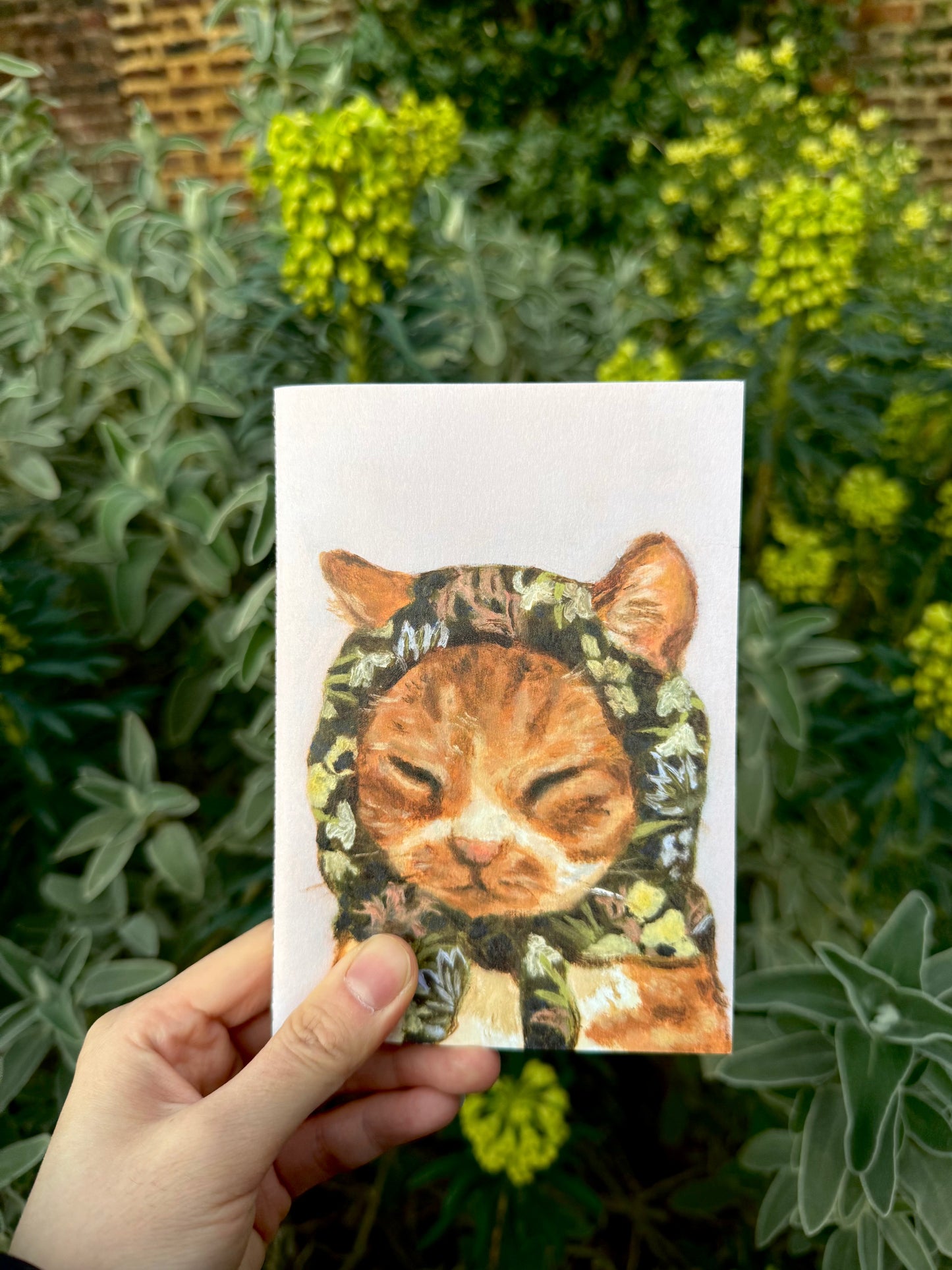 Set of 3 Notebooks - Babushcats