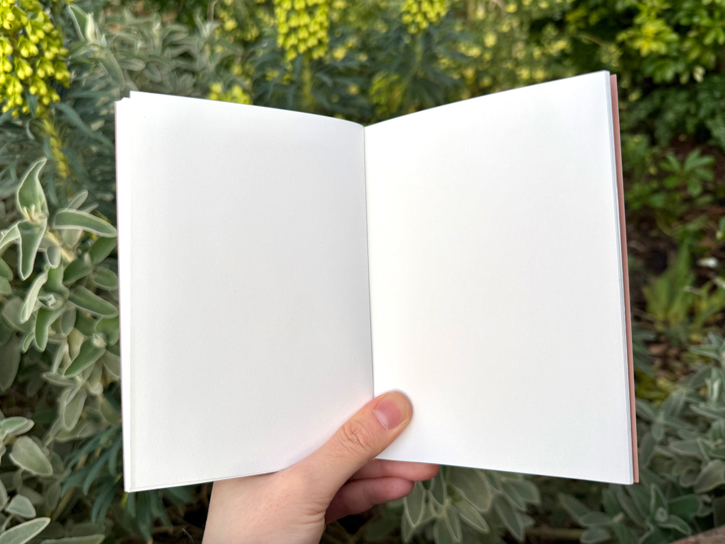 Set of 3 Notebooks (A6)