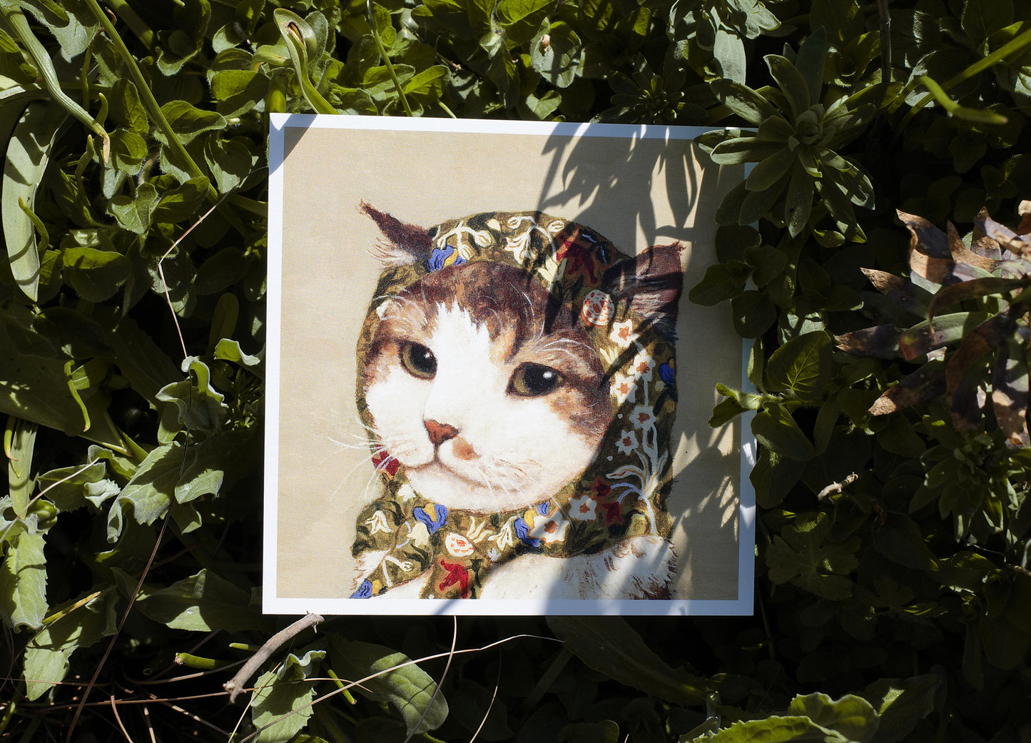 (4) Babushcats postcard set of 24