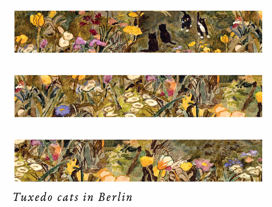 Tuxedo cats in Berlin