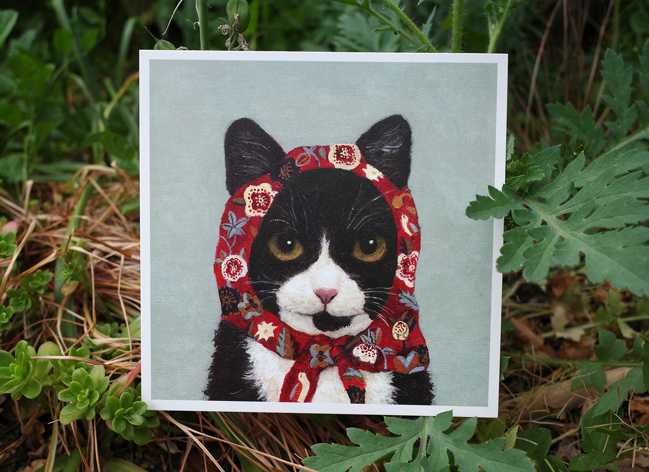 (4) Babushcats postcard set of 24