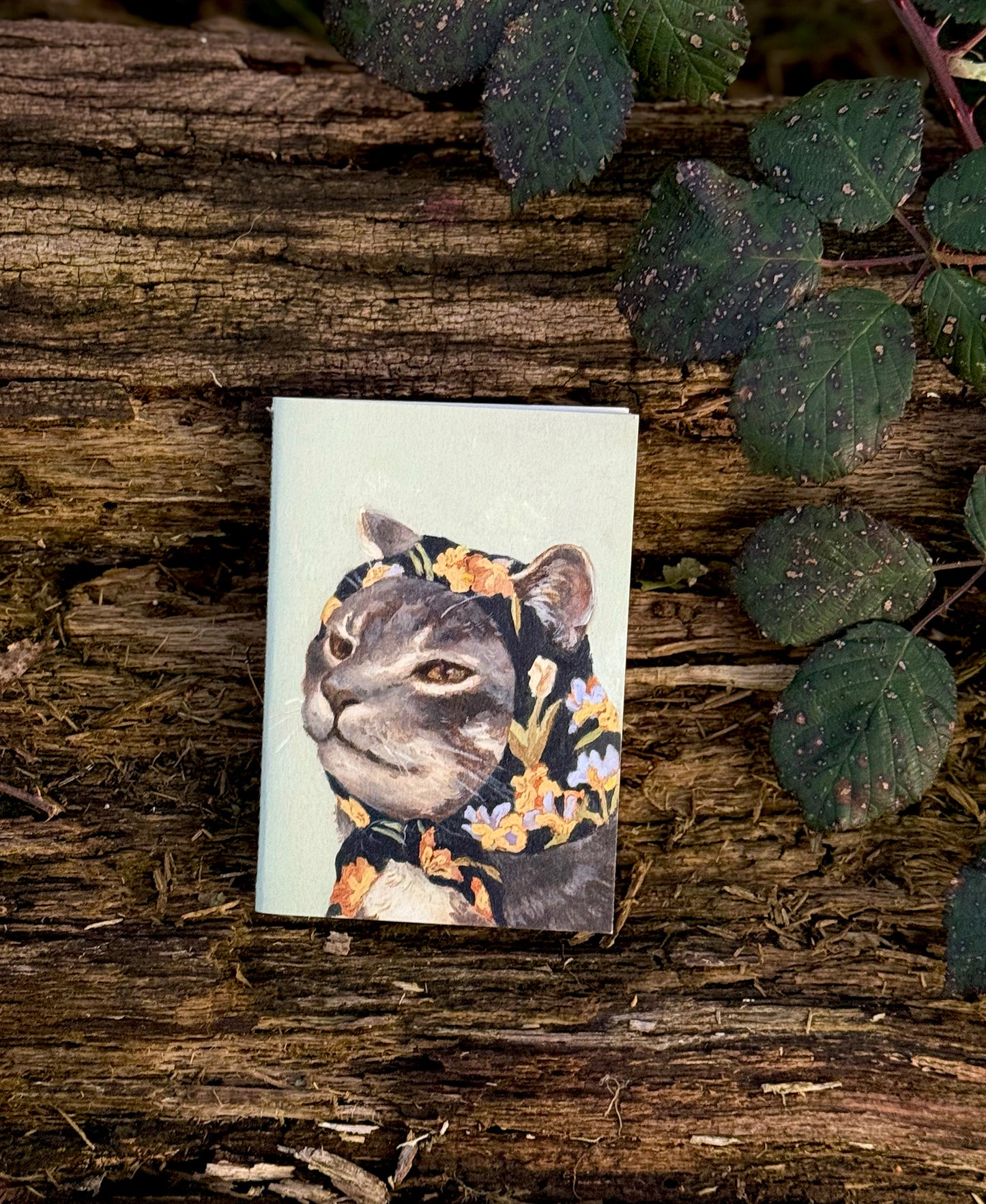 Set of 3 Babushcats Notebooks