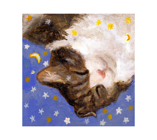 A dreaming cat