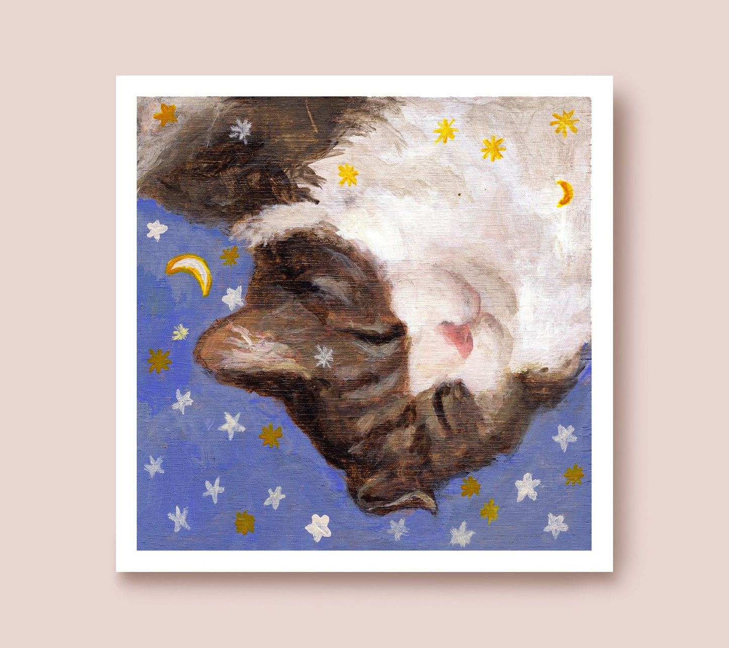 A dreaming cat