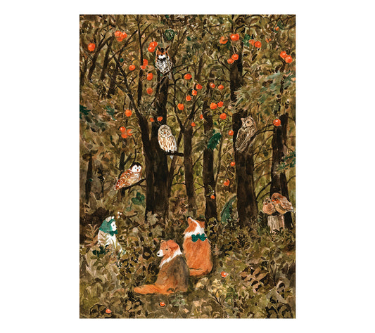 Forest of Owls