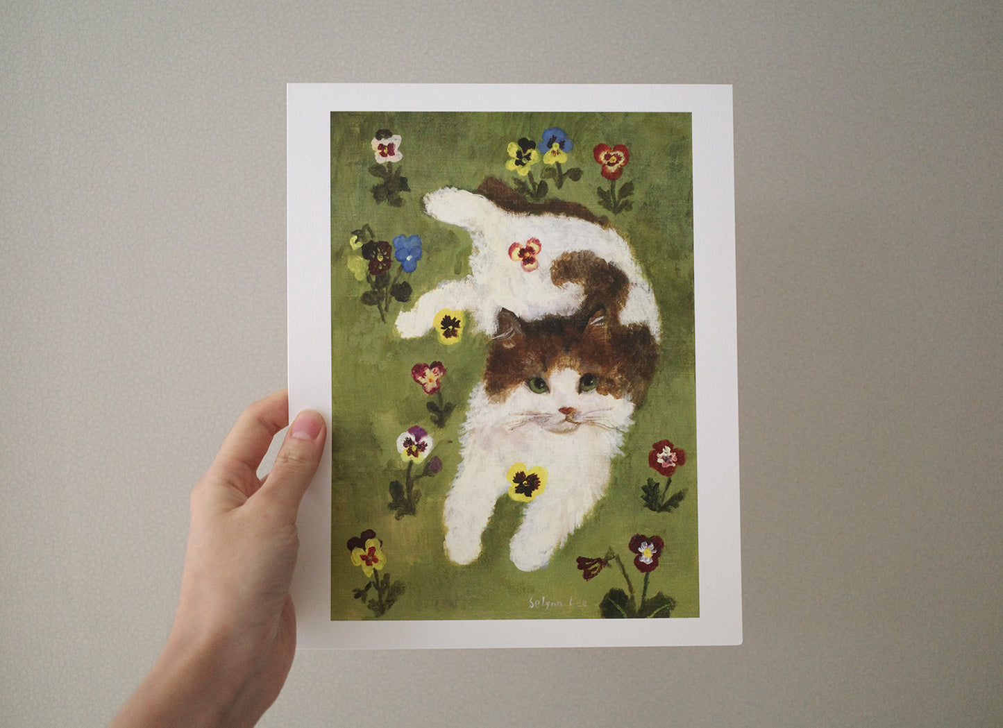 A cat and pansy flowers